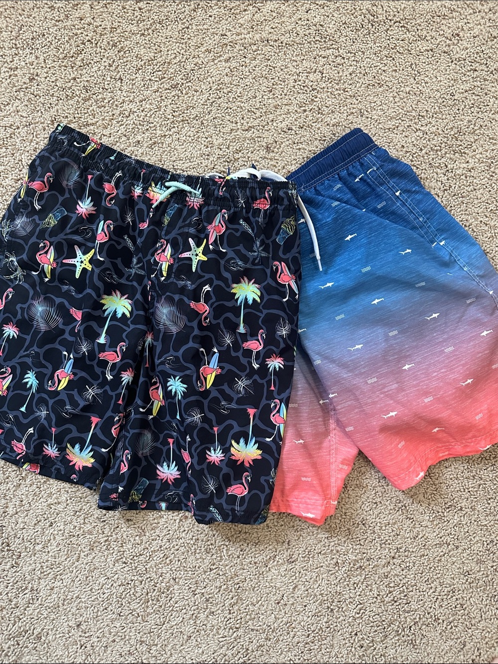 Tropical Flamingo Swim Shorts + Ombre Blue-Pink Swim Trunks